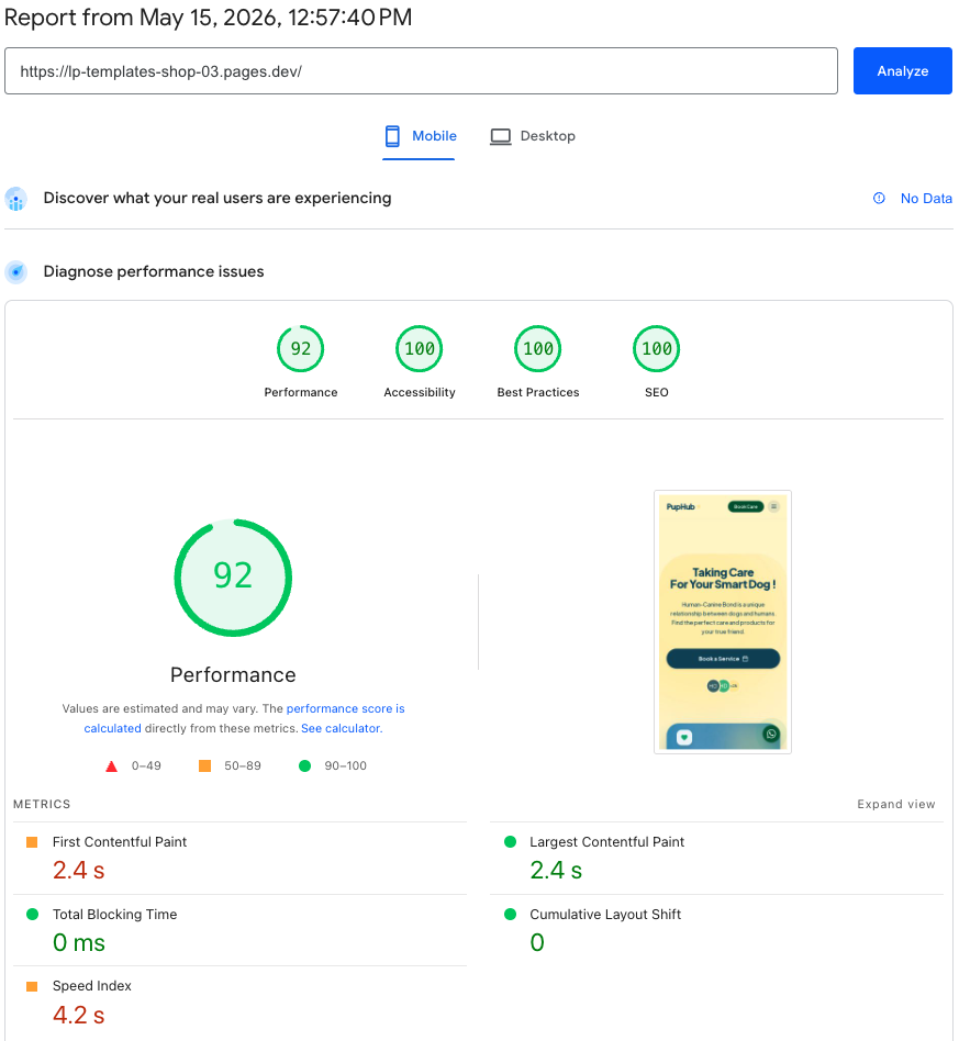 PageSpeed Insights 96/99. Performance, Accessibility, Best Practices, SEO.